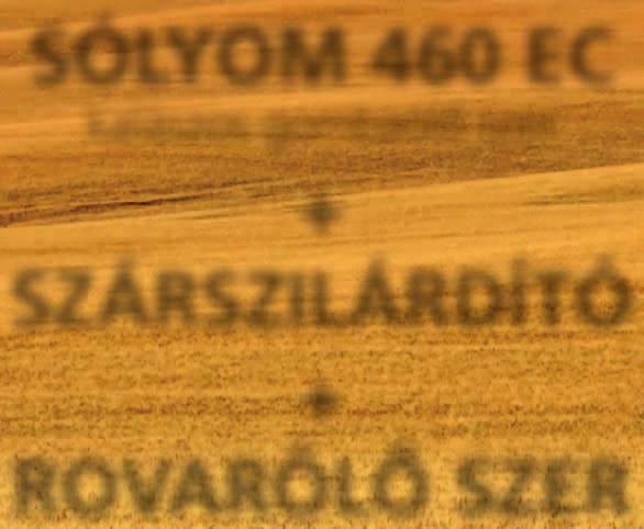 termésbiztonság záloga SÓLYOM 460 EC