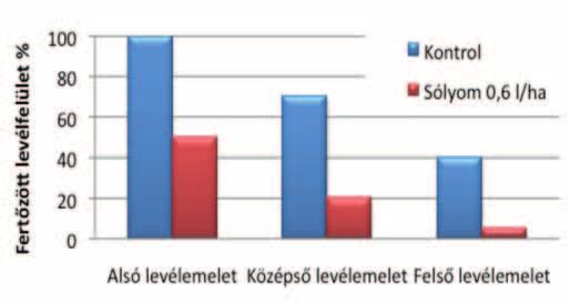A tebukonazol az egyik legrégebben használt azol hatóanyag. Hatástartama 4-6 hét is lehet, hatékonysága a DTR és kalászfuzáriózissal szemben kiemelkedő.