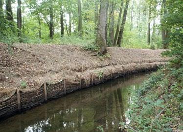 géb és a kaukázusi törpegéb) él. A folyami géb első nagyobb populációját a Tisza-tó tiszafüredi szakaszán figyelték meg 1993-ban.