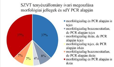 46 db ikrás 46 db tejes 14 db tejes 14 db 100 százalékos egyezőség a két vizsgálat alapján ami bizonyítja a gén ivari markerként való alkalmazhatóságát.