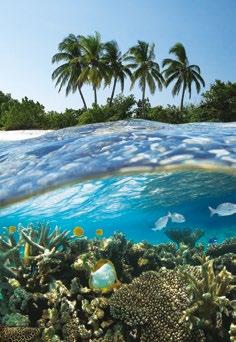 KITTS & NEVIS BONAIRE Kralendijk SAINT LUCIA Castries Bridgetown BARBADOS CANADA Quebec City Charlottetown Sydney Bar Harbor Halifax Portland Boston USA Cape Liberty Kings Wharf BERMUDA 2 PIHENÉS A