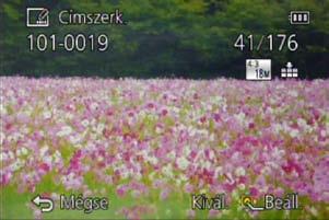Alkalmazás (megtekintés) A [Lejátszás] menü használata A menü beállításának részletei. ( 60) [Címszerk.] Címet stb. adhat kedvenc állóképeihez.