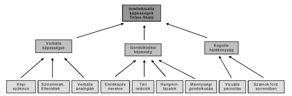 A vizsgálati módszer A felhasznált két intelligenciateszt párhuzamos felvétele mellett a két eljárás kidolgozásának azonos elméleti háttere miatt döntöttünk.