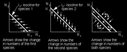 (W=1)