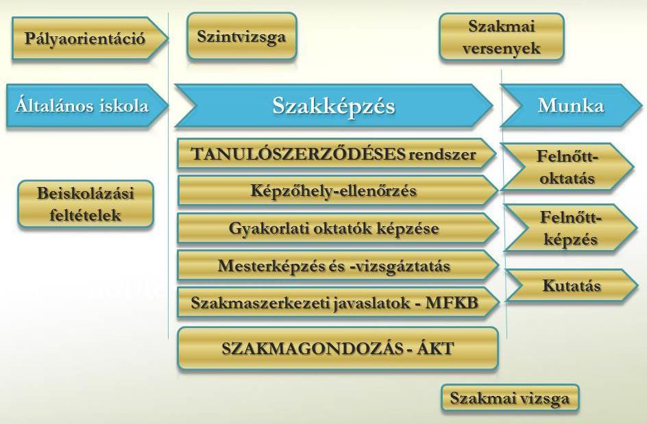 4. A kereskedelmi és iparkamarák szakképzési feladatai A kereskedelmi és iparkamara egyre meghatározóbb szereplője a szakképzésnek, amit bizonyít, hogy az elmúlt időszakban egyre több szakképzéssel