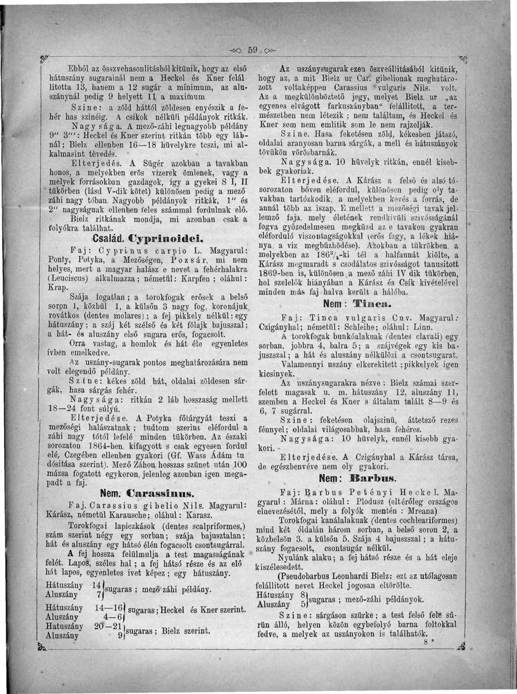 -*í> 59 <»- -xa»- Ebből az összvehasonlitásból kitűnik, hogy az első hátuszány sugarainál nem a Heckel és Kner felállította Az uszánysugarak ezen öszveállitásából kitűnik, hogy az, a mit Bielz ur