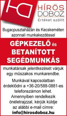 Általában vicces, de nem bizalmaskodó személy, akiből remek menedzser vagy teamleader lehet, hiszen remekül kijön a kollégákkal.