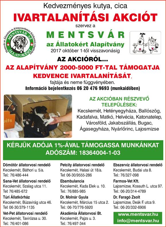 , szerda 08:00 14:00 október 12., csütörtök 08:00 18:00 október 13., péntek 08:00 13:00 október 16., hétfő 08:00 18:00 október 17., kedd 08:00 16:00 október 18., szerda 08:00 14:00 október 19.