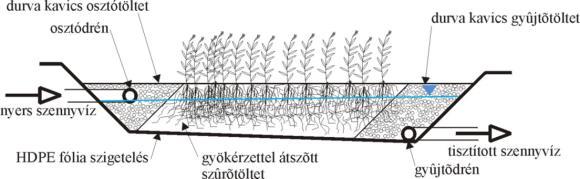 Vízszintes felszín alatti átfolyású gyökérmező hosszmetszete Nád-gyökérzónás, függőleges