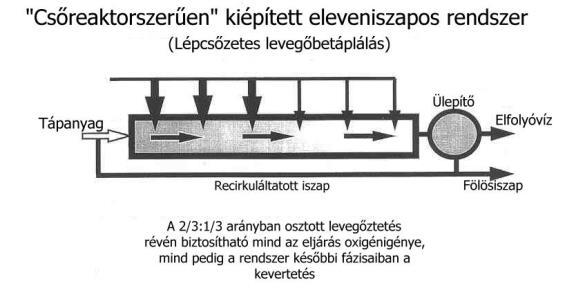 térrész(ek) levegőellátását érzékelteti: minél világosabb, annál több az oldott oxigén egyenletes eloszlású levegőbefúvatás, a betáplálási pont környékén