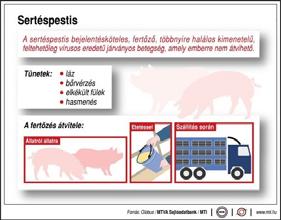 RID/ADR 2019 2 rész Osztályozás 2.2 fejezet 6.2 osztály Példa: Egy elhullott sertés afrikai sertéspestis vírussal az UN 2900 csak állatokra ártalmas fertőző anyag tétel alatt volt szállítható: 2019.