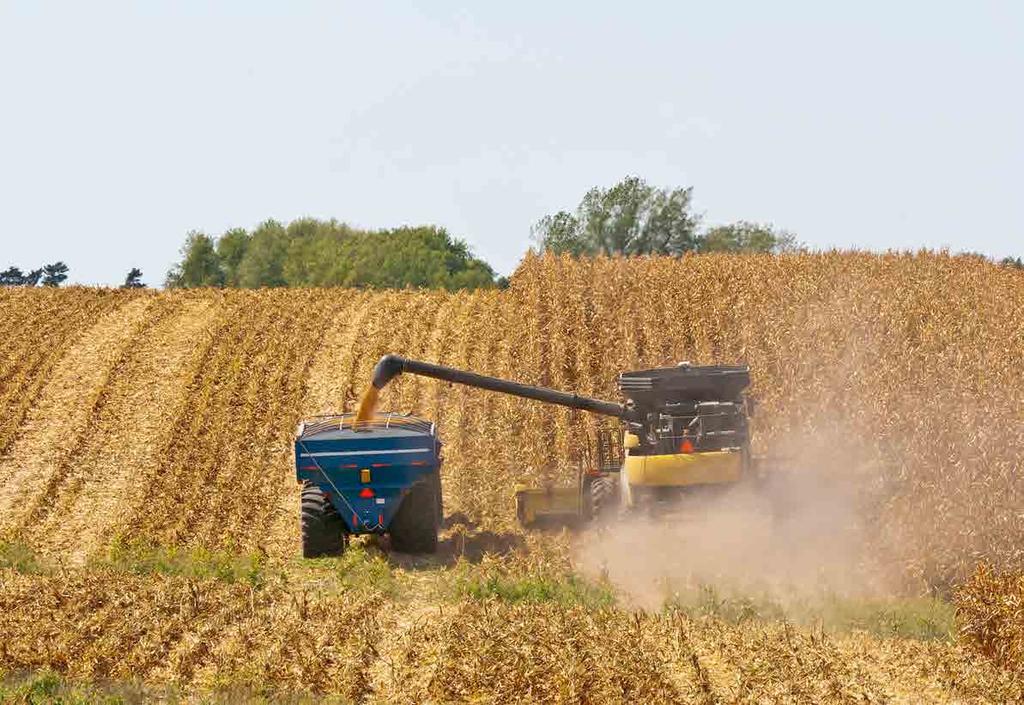 a termelők részére. A Dow Agrosciences Hungary Kft.