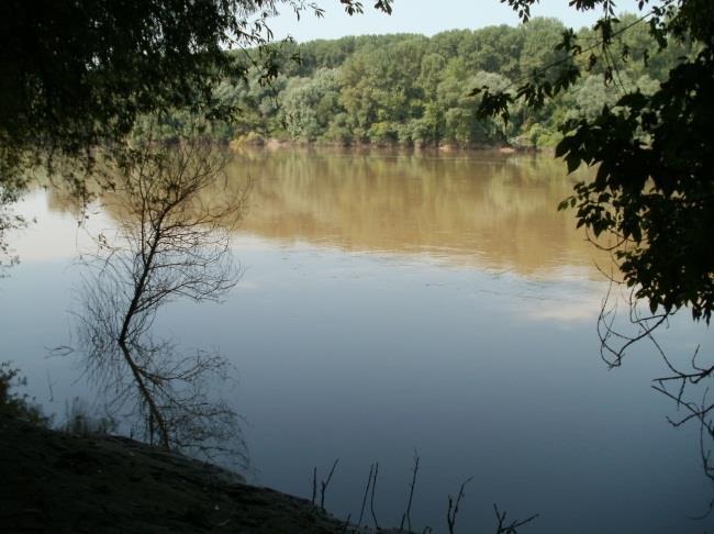 (2006) 4. ábra.