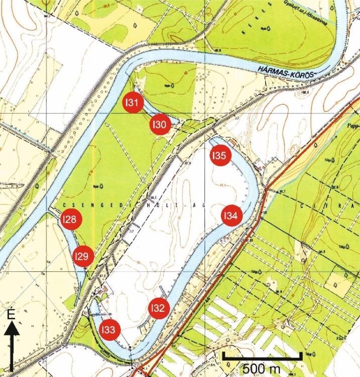 Anyag és módszer 16. ábra. Üledék-mintavételi pontok a Csengedi holtágon Alsó-Tisza Hármas-Körös A holtág megnevezése 9. táblázat.