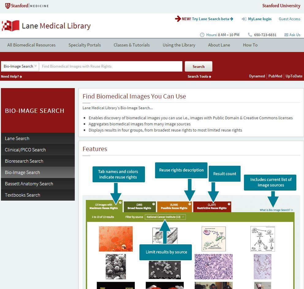 LANE Biomedical Image Search