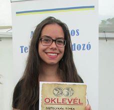 Pécsi Művészeti fesztivál