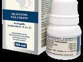 ALPHA DERM PLUS spray Külsőleges oldatos spray kutyák számára A.U.V. LEÍRÁS: Hatóanyag: (1 ml spray tartalmaz) Marbofloxacin 1,025 mg Ketokonazol 2,041 mg Prednizolon 0,926 mg. Célállat fajj: kutya.
