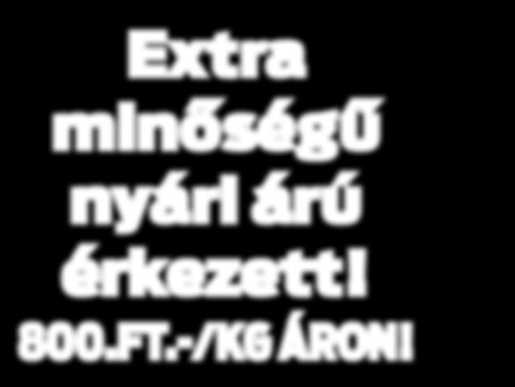 Redőnyjavítás, redőny készítés! Gurtnicsere akár még ma! Péter úr! 06-20/ 233-8211! Ács, tetőfedő, bádogos, tetőjavítást, cserépforgatást és csatorna javítási munkát vállalunk, saját anyagból is.