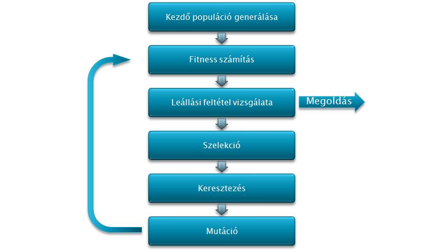 3. Otthoni feladatok (és elméleti alapok) A genetikus algoritmus (röviden: GA) és különböző változatai globálisan optimális sztochasztikus keresőeljárások.