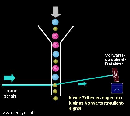 Fluoreszcens jelek