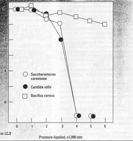 Fehérjék változása Tej: 1000 bar, a kazein micellákat képez, β- laktoglobulin le kell botani Gyümölcs: pektinészteráz inaktiválódik Poliszacharidok:» cellulóz, agar: szól-gél átmenet hőmérséklete
