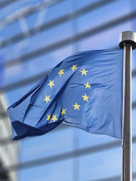AZ OKTATÁSI RENDSZER EURÓPAI KIHÍVÁSAI Fenntartható növekedés támogatása Kielégítse a dinamikusan fejlődő tudásalapú európai gazdaság magasabb szintu humán erőforrás igényét Vállalatok saját
