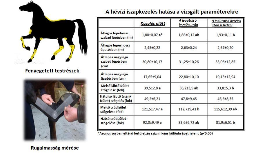 Agrárközgazdaságtan (pl.