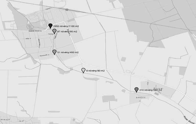 Novák Róbert és mtsai: A kaukázusi medvetalp (Heracleum mantegazzianum Somm. et Lev.)... 45 1. táblázat: A kaukázusi medvetalp felderítésének Vas megyei eredményei (felmérés időpontja: 2015.