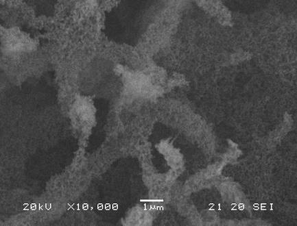 9. ábra. Aceton oldószer eltávolítása aerogél szárítás során. A a szén-dioxid aceton elegyek szételegyedési összetartozó nyomás-hőmérsékelet-összetétel értékei.