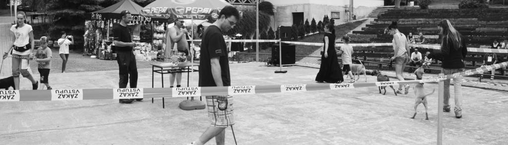 19 / 22. júl 2013 Výstava Krtíšsky oriešok bude mať svoj druhý "polčas" 24. augusta 2013 Najkrajší kríženci náhod a lásky a spod mostov.