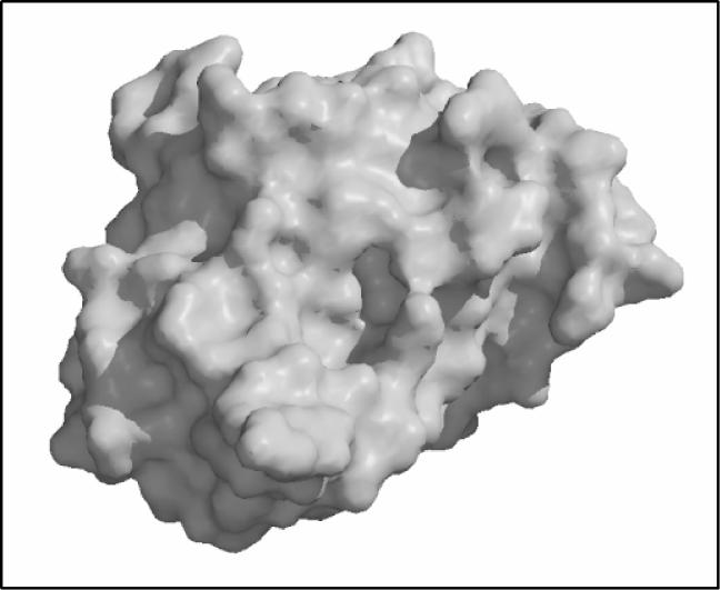 helyen vágja a nem struktúrális poliprotein láncszakaszt Helikáz aktivitással is rendelkezik, melyre az RNS