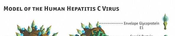 Hepatitis