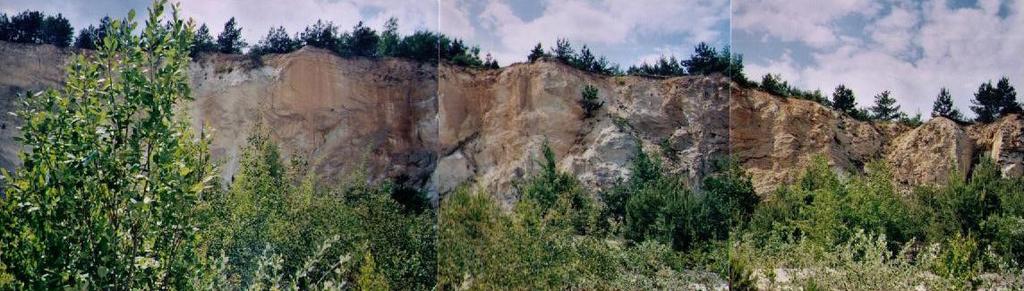 HUNGEO 2017 G5 TOKAJI HEGYSÉGI IGNIMBRITES ZEOLITOS RIOLITTUFÁK KŐZETTANA ÉS VULKANOLÓGIAI FELÉPÍTÉSE Petrology and volcanologic structure of the zeolitic containing rhyolite tuff bodies in the Tokaj
