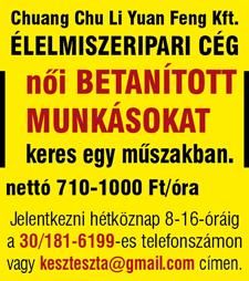 informatikában jártas, hanganyagok elkészítésében, vágóprogram használatában gyakorlatot szerzett munkatársat keres, aki műszaki jellegű feladatok elvégzésével is megbízható.