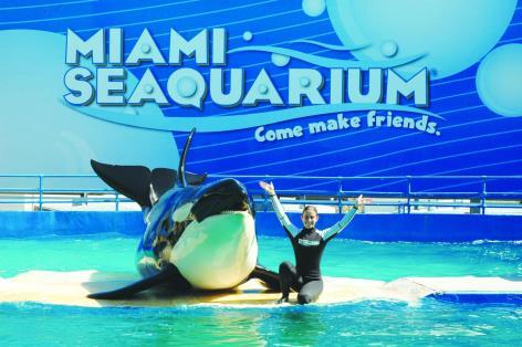 6. nap szeptember 29.: Vársnézés Miamiban. Seaquarium, az Egyesült Államk legrégebbi óceán aquariuma, mely helyszínül szlgált a Flipper c.