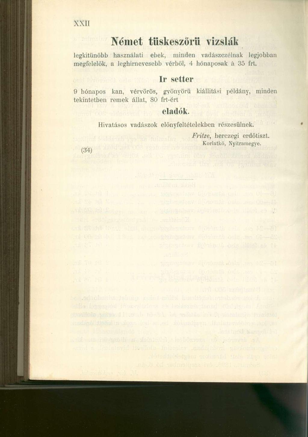 XXII Német tüskeszórü vizslák legkitűnőbb használat i ebek, minde n vadászczélna k legjobba n megfelelők, a leghirneveseb b vérből, 4 hónaposa k á 3 5 frt.