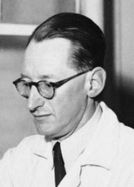 mányozta. Az enzimekről megállapította, hogy nem biológiai anyagok, hanem kémiai vegyületek. Az az állítása, hogy nem fehérje természetűek, csak 1930-ban dőlt meg.