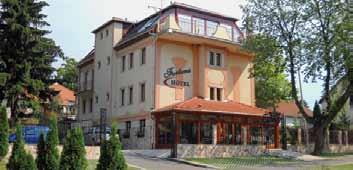 Az 53 szobás hotel 600 m 2 -es wellness-részleggel, 120 fős étteremmel és 100 fős konferenciateremmel várja kedves vendégeit.