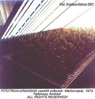 Az MTA martonvásári Mezőgazdasági Kutatóintézet fitotronjaiban 1994 óta alkalmazott általam előbb GTS -nek, majd Antirandomnak, meg hullámanalizátornak nevezett