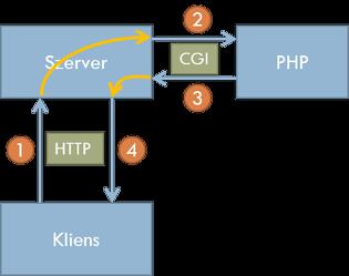 lefuttatja a programot. A program az eredményét a szabványos kimenetére írja, amit figyel a webszerver, és az oda érkező tartalmat pedig HTTP válaszként továbbítja a böngésző felé.