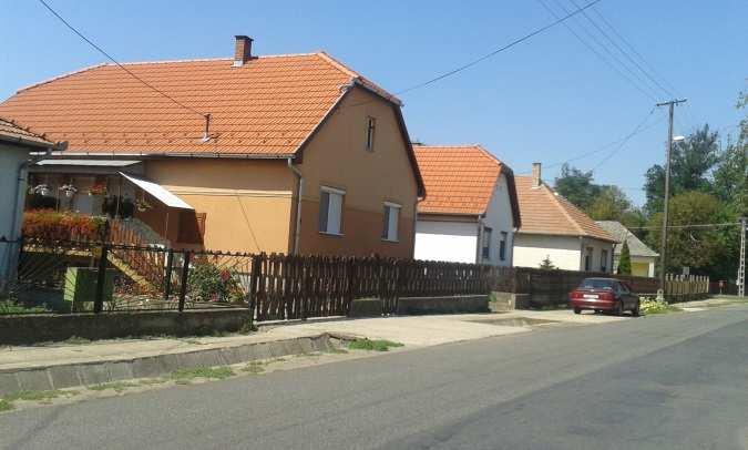 gyepterületek növénytársulás tanilag a homokpuszta-gyepek és homoki legelők kategóriába sorolhatók. A szántók területi aránya igen magas, közel 43% körülire tehető.