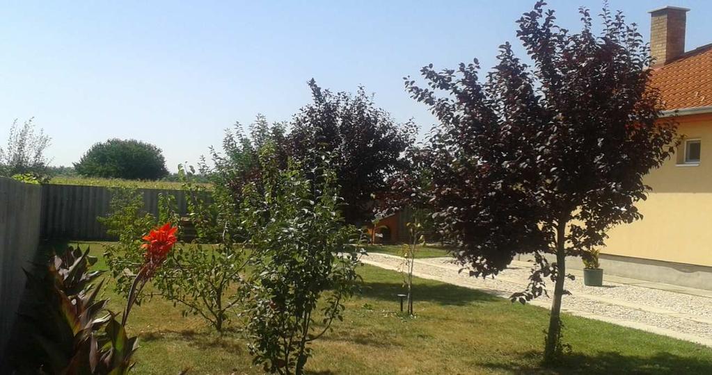 KERTEK, UDVAROK Településünknek és épületeinknek egyaránt illeniük kell abba a környezetbe, amelyet az adott helyen az ember és a természet közösen formált.