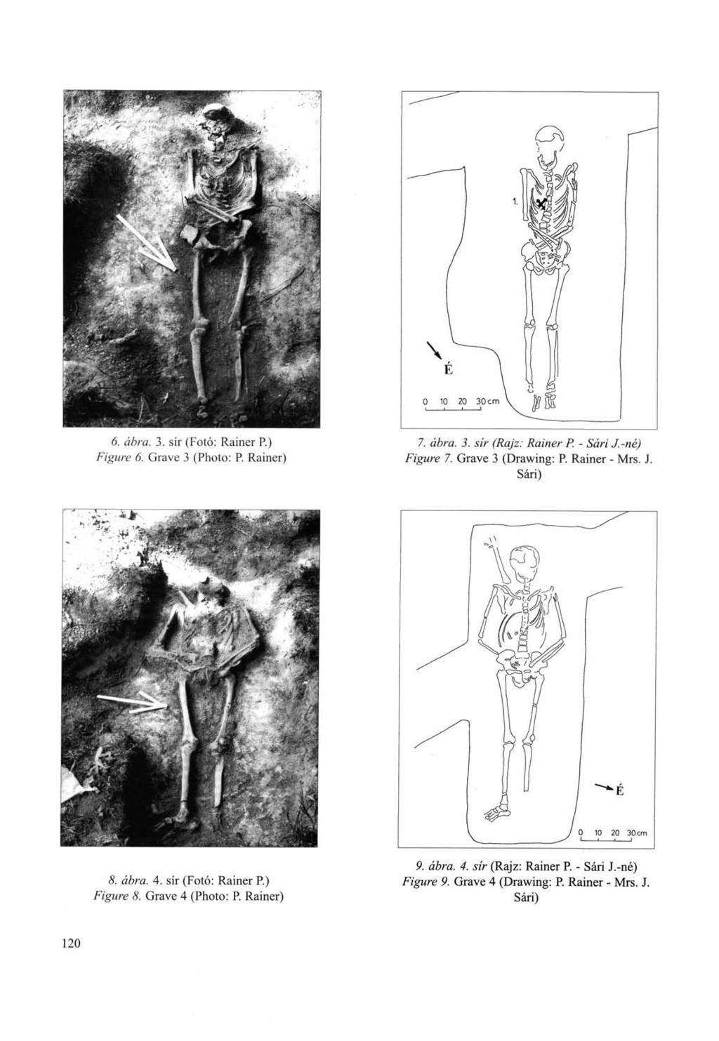 6. ábra. 3. sír (Fotó: Rainer P.) Figure 6. Grave 3 (Photo: P. Rainer) 7. ábra. 3. sír (Rajz: Rainer P. - Sári J.-né) Figure 7. Grave 3 (Drawing: P. Rainer - Mrs. J. Sári) 5.