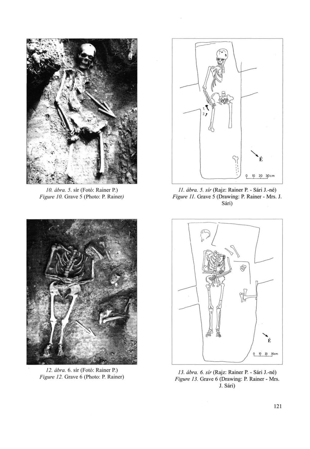 10. ábra. 5. sír (Fotó: Rainer P.) Figure 10. Grave 5 (Photo: P. Rainer) 11. ábra. 5. sír (Rajz: Rainer P. - Sári J.-né) Figure 11. Grave 5 (Drawing: P. Rainer - Mrs. J. Sári) 12.