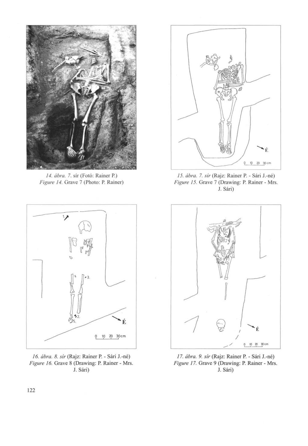 14. ábra. 7. sír (Fotó: Rainer P.) Figure 14. Grave 7 (Photo: P. Rainer) 15. ábra. 7. sír (Rajz: Rainer P. - Sári J.-né) Figure 15. Grave 7 (Drawing: P. Rainer - Mrs. J. Sári) 16. ábra. 8.