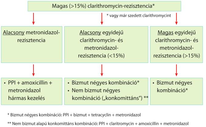 Az antibiotikum- (clarithromycin-, metronidazol-) rezisztencia miatt megnőtt az igény a hatékony és biztonságos bizmutalapú négyes kombináció iránt.