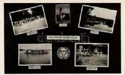 pho800 20481.