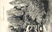 Turzii; Füs 1600 21183.