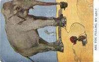 food, a 2000 21982.