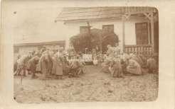 1917 Liboka (Buk ovina),